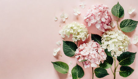 flowers composition hydrangea flowers on pastel pink background flat lay top view copy spaceの素材