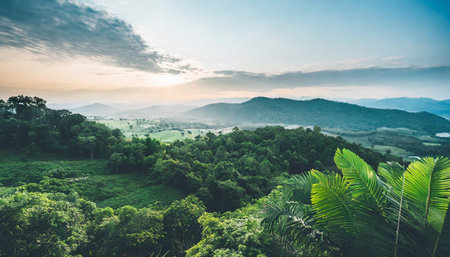 earth day eco concept with tropical forest background natural forestation preservation scene with canopy tree in the wild concept on sustainability and environmental renewableの素材