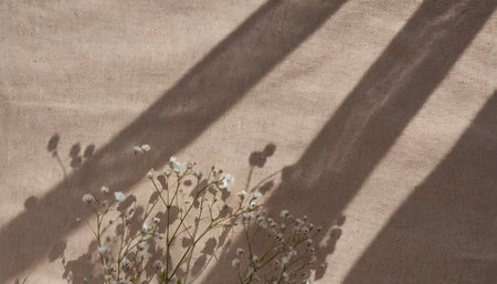 floral sunlight shadows on a neutral beige cloth aesthetic minimalist natural background with copy spaceの素材