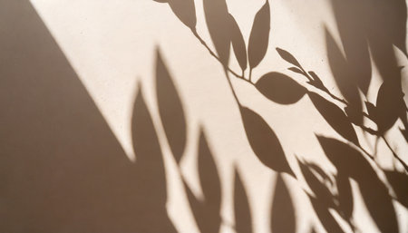 minimalistic concept photography for blogging featuring beige monochrome backdrop or screensaver with abstract natural leaf shadows on a white wall silhouette conceptの素材