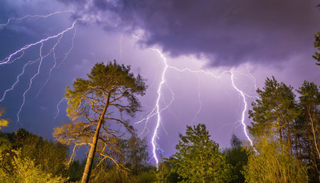 powerful lightning bolts in the purple sky against the background of treesの素材