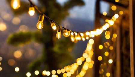garland with yellow lightsの素材