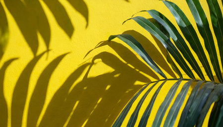 creative tropical leaf shadow on yellow wall backgroundの素材