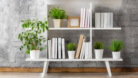 white bookshelf with plants and folders over wallの素材