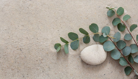 serenity eucalyptus branch and a pebble rock on sand for background template with empty space for copy or productの素材
