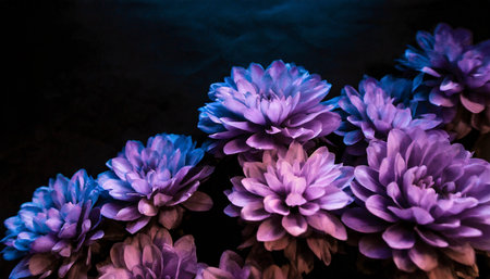 beautiful abstract color blue pink and purple flowers on black background and blue graphic dark pink flower frame and pink leaves texture purple background colorful graphics bannerの素材