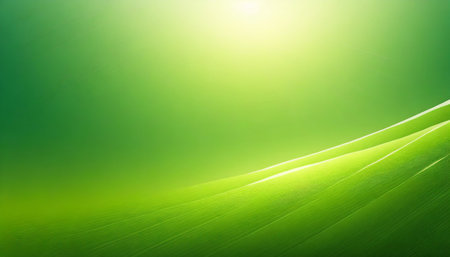 green natural gradient background abstract green blurred background with bright sunlightの素材