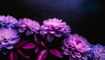 beautiful abstract color blue pink and purple flowers on black background and blue graphic dark pink flower frame and pink leaves texture purple background colorful graphics bannerの素材