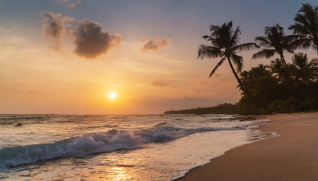 warm sunset on tropical beachの素材