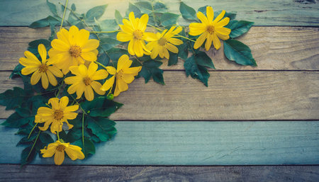yellow flowers on vintage wooden background border design vintage color tone concept flower of spring or summer backgroundの素材