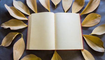 open book blank page top down view flat backgroundの素材