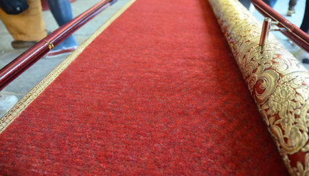 rolling red carpetの素材