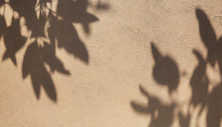 abstract tree leaves shadows on brown concrete wall texture with roughness and irregularities abstract nature concept background copy space for text overlayの素材
