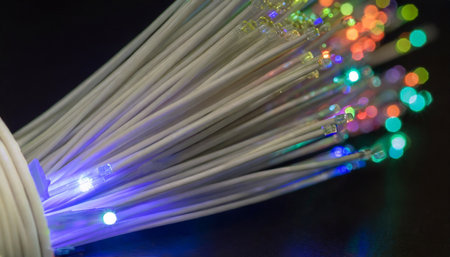 detail of an optical fiber cable for data transmissionの素材