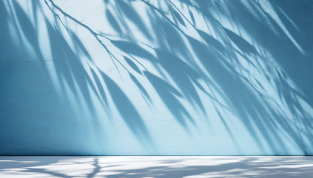 minimalistic abstract gentle light blue background for product presentation with light and intricate shadow from tree branches on wallの素材