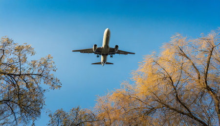 big plane flies in the skyの素材