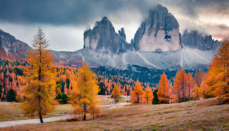 gloomy autumn view of tre cime di lavaredo national park with orange larch trees fantastic morning scene of dolomite alps auronzo di cadore italy europe beauty of nature concept backgroundの素材