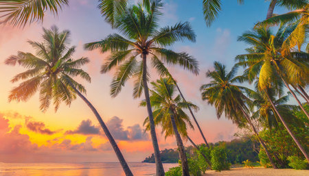 serene tranquil tropical trees background concept coconut palms peaceful sunset sky exotic picturesque nature colorful leaves natural landscape summer tropical island holiday or vacation patternの素材