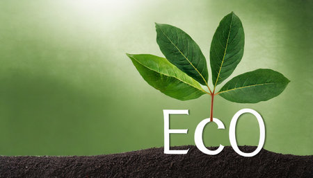 carbon neutral and esg concepts carbon emission clean energy balancing between a green leaf and co2の素材