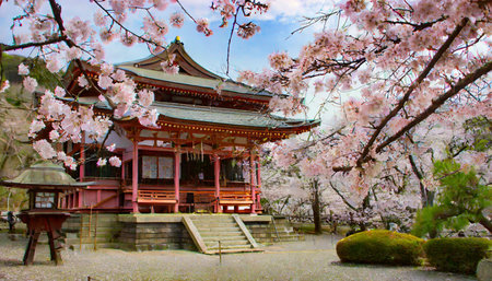 beautiful japan temple in blossoming sakura garden pink cherry trees nature background wallpaperの素材