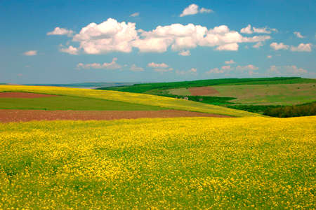 Spring field in Aprilの写真素材