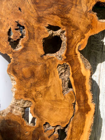 slit old olive tree in front of shopの写真素材