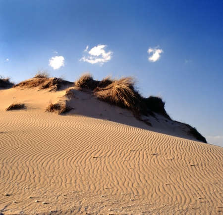 sandy desert late afternoonの写真素材