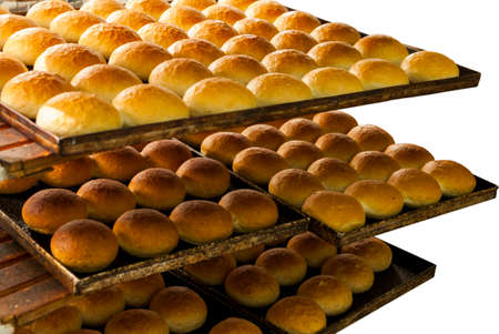 freshly baked, different kinds of warm and delicious small breads