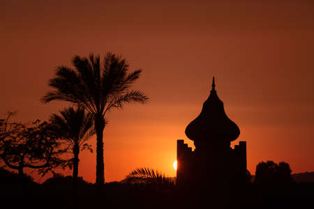 arabian orange sunset with building and palmsの写真素材