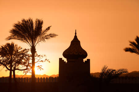 arabian orange sunset with building and palmsの写真素材