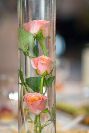 Wedding reception centerpiece close-up with roses in waterの写真素材