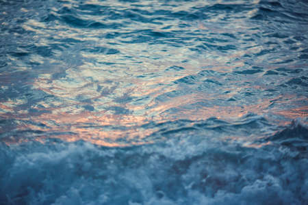 Sea wave close up, low angle view. Tender mood at sunrise.