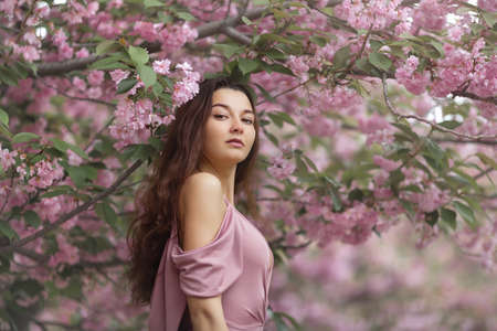 Spring girl photo. Portrait of tender woman at sakura flowers background. Hanami celebration in sakura blooming garden. Young stylish woman standing in sakura park and enjoy beauty of pink. Sensual model looking at cameraの写真素材