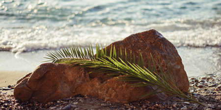 Rocky Beach with Palm Leaf Vacation Backgroundの写真素材