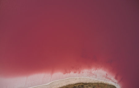 Amazing Nature, Surface With Water and Pink Salt Abstract Backgroundの写真素材