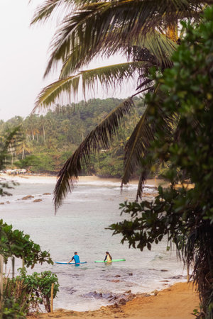 Paddleboarders Enjoying Calm Waters at Hiriketiya Beach, Sri Lanka Framed by Palmsの写真素材