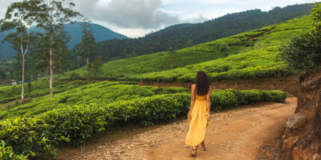 Woman in Yellow Dress Walking Along Tea Plantation Trail in Sri Lankaの写真素材
