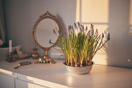 Charming Vintage Vanity with Potted Flowers in Soft Daylightの写真素材