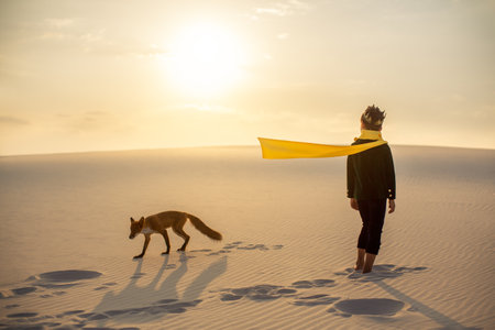 Little Prince And Fox Walking Through Desert At Sunsetの写真素材