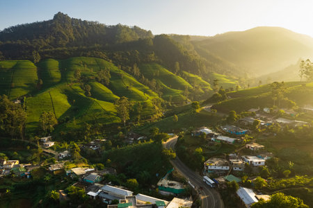 Aerial View of Nuwara Eliya Tea Plantations and Village at Sunrise, Sri Lankaの写真素材