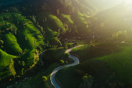 Aerial Drone View of Scenery Road Through Mountains Hills and Green Tea Plantations.の写真素材