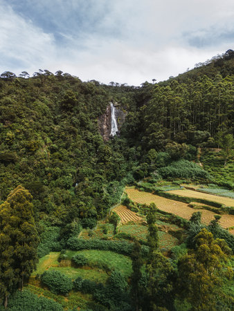 Scenic View of Lover s Leap Waterfall and Terraced Fields in Sri Lanka