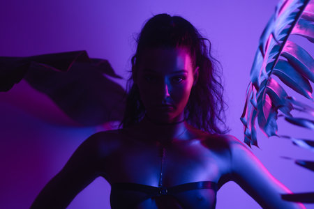 Mysterious Lingerie Model in Neon Light With Shadows and Palm Leavesの写真素材
