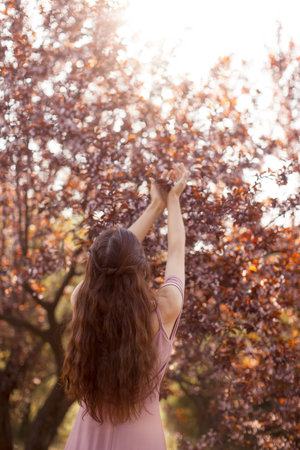 Woman Reaching for Blossoms in Spring Garden With Warm Sunset Lightの写真素材