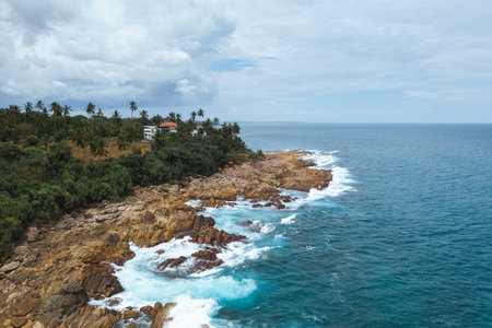 Scenic Aerial View Of Rocky Sri Lanka Coastline With Palm Trees And Oceanの写真素材