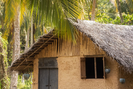 Rustic Clay Hut With Wooden Door And Thatched Roof In Tropical Villageの写真素材