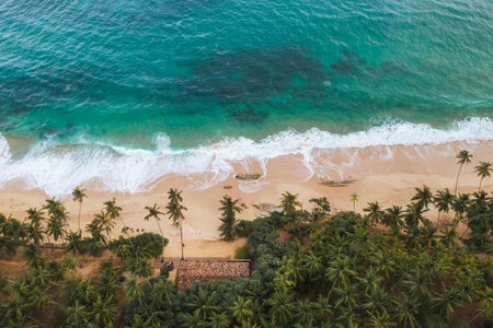 Aerial View Of Tropical Silent Beach With Palm Trees In Sri Lankaの写真素材