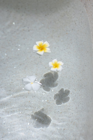 White And Yellow Frangipani Flowers Floating On Clear Spa Waterの写真素材