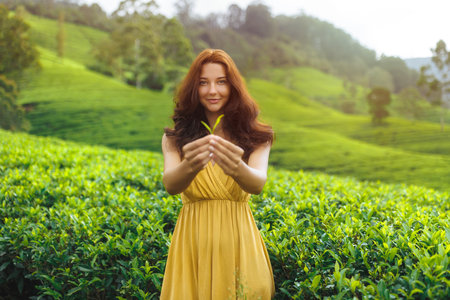 Woman in Yellow Dress Holding Tea Leaf in Vibrant Green Plantationの写真素材
