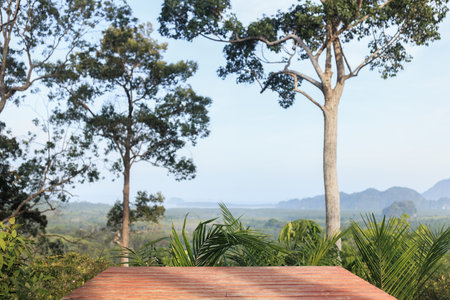 Tranquil Jungle Deck In Krabi With View Of Hills For Wellness Retreatsの写真素材